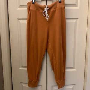 Cozy Aerie sweats SZ LG color sienna